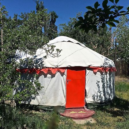 ホテル Arista Yurt Camp カラコル 部屋 写真