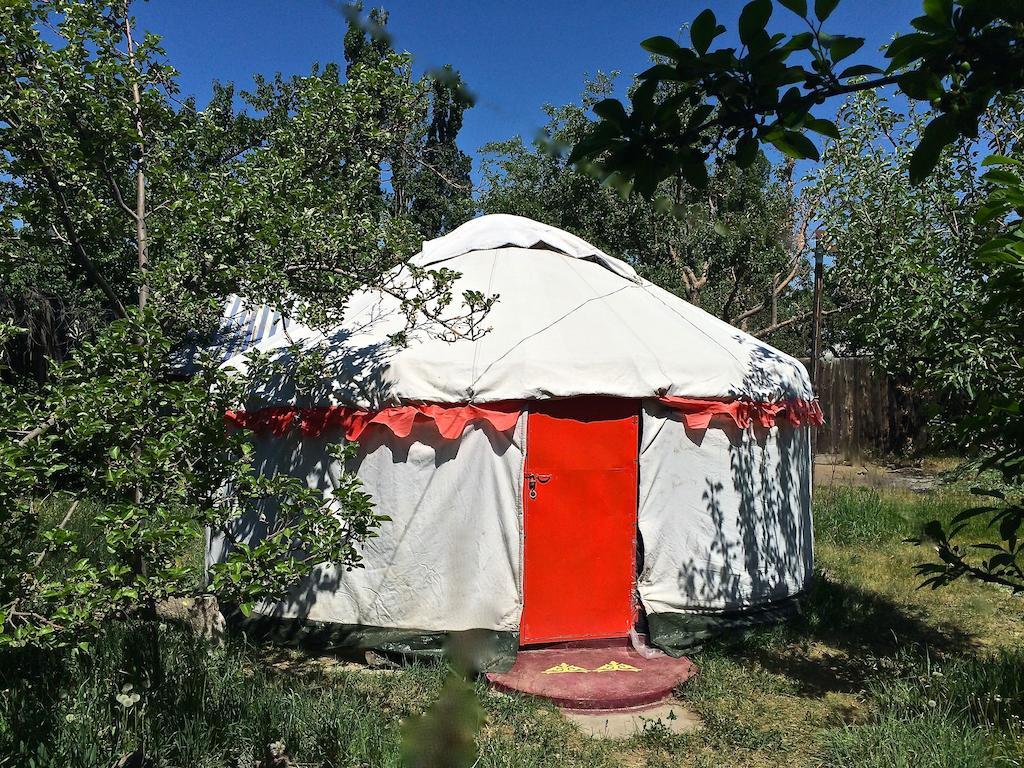 ホテル Arista Yurt Camp カラコル 部屋 写真